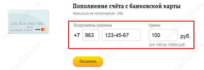 Как пополнить счет Билайн: через интернет, USSD-командой, СМС