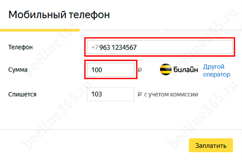 Как пополнить счет Билайн: через интернет, USSD-командой, СМС