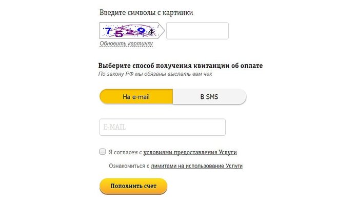 Как пополнить баланс Билайн с банковской карты: все способы